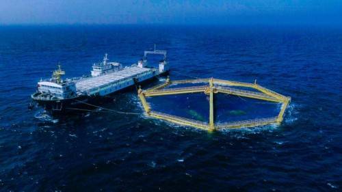 深遠海綠色養殖新篇章 青島獲批國家級試驗區，畜牧漁業飼料迎發展良機