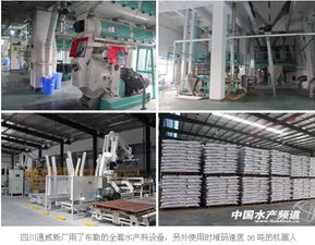 四川通威60萬噸飼料生產基地投產儀式在眉山隆重舉行 推動畜牧漁業高質量發展